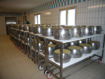 Parmesan Cheese Rack