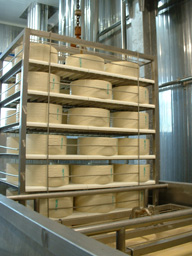 Cheese Stack