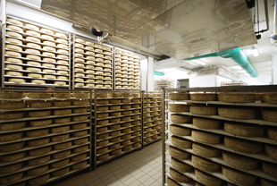 Cheese Shelf